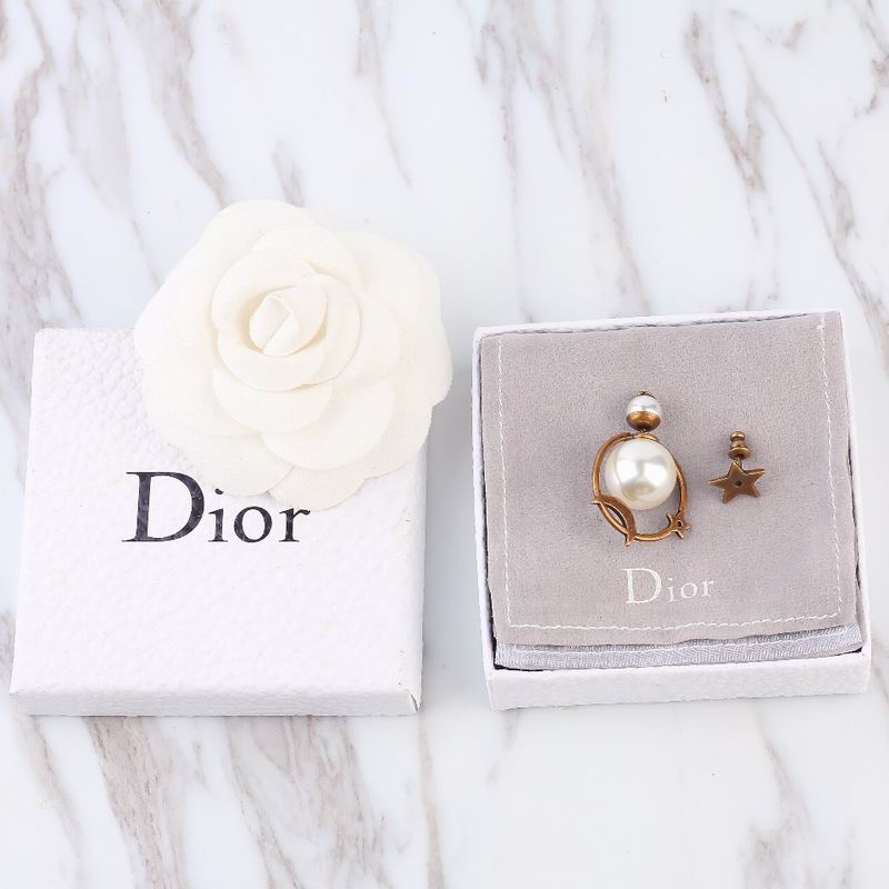 Dior Earring 04lyr250